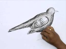 How To Draw A Black Bird Youtube How to draw caricatures : how to draw a black bird