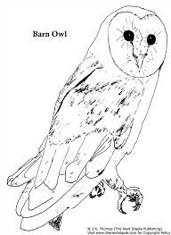 Barn Owl Coloring Pages 4 Free Printable Coloring Pages Owl Coloring Pages Coloring Pages Butterfly Coloring Page