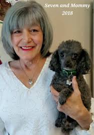 Adorable moments with toy poodle Seven