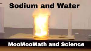 Sodium In Water Explosion Chemical Reaction Youtube