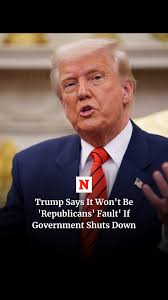 President Donald Trump said it will be Democrats' fault if there's a  government shutdown