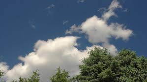 1722 river hd wallpapers and background images. Hd Wallpaper Weather Clouds Trees Blue Sky Nature Desktop Background Wallpaper Flare