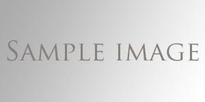 Sample Index
