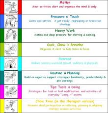 Sensory Diet Chart Www Bedowntowndaytona Com