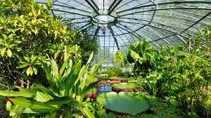 Februar (jeweils freitags und sonnabends), 18 bis 24 uhr; Grune Stadtoase Botanischer Garten Der Uni Basel Chilli Freiburg Stadtmagazin