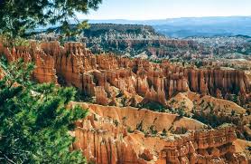 Hours may change under current circumstances Free Stock Photo Of Sunrise Point Bryce Canyon National Park Download Free Images And Free Illustrations