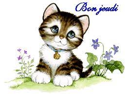 Bon Jeudi - Chaton - Regard - Gif animé - Gratuit - Le Monde des Gifs