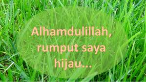 Nah, itu dia 5 idiom yang menggunakan kata green. Rumput Tetangga Lebih Hijau Keluarga Chadarisman