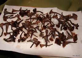 Image result for Craterellus fallax