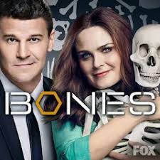 Bones: Season 1