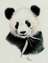 Black And White Cute Baby Panda Drawing Panda By Mary Rogers Panda Drawing Panda Sketch Bear Drawing