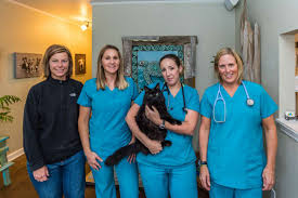 Compare your options and call now. Kindness Pet Hospital East Sowal Com