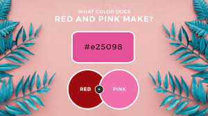 This can help create a monotone palette. Red And Pink Mixed What Color Does Red And Pink Make