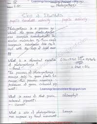 Micro Teaching Lesson Plan For Biological Science On Illustration Skill With Examples On Photosynth Biology Lesson Plans Biology Lessons Teaching Lessons Plans