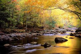 Great Smoky Mountains National Park Wallpapers Wallpaper Cave