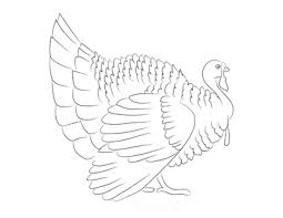 Turkey coloring page from turkey category. 46 Best Turkey Coloring Pages For Kids Of All Ages Free Printables