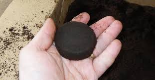 Kaffeesatz Als Hervorragenden Dunger Verwenden Garten Pflanzen Garten Gemahlener Kaffee