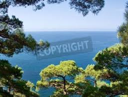Krasnodar (ryska краснода́р) är en stad i södra ryssland och är huvudort i krasnodar kraj. Strand In Anapa Region Krasnodar Russland Fototapete Fototapeten Anapa Der Himmel Krasnodar Myloview De