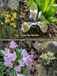 Ich empfehle dieses oberteil definitiv weiter vorallem für diesen unschlagbaren. Die 68 Besten Ideen Zu Fruhling Spruche In 2021 Fruhling Spruche Spruche Fruhling