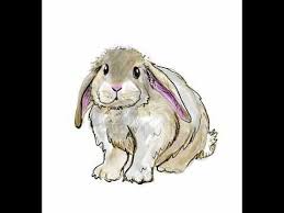 Cute Rabbit Ipad Drawing Ipad Drawings Cat Cards Drawings