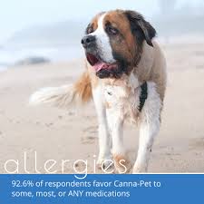 Maybe you would like to learn more about one of these? Canna Pet Cannapet Twitter