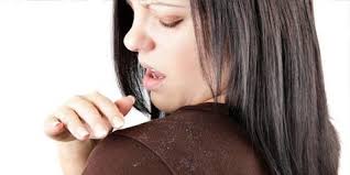 Lobak putih memiliki warna daging putih. Khasiat Lobak Putih Untuk Kecantikan Wajah Dan Tubuh