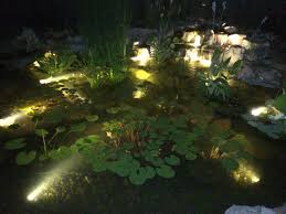 Submersible Lighting