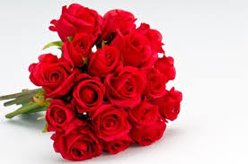 Download the perfect flower image on burst. Rose Flowers Free Stock Photos Download 11 612 Free Stock Photos For Commercial Use Format Hd High Resolution Jpg Images