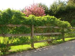 We would like to show you a description here but the site won't allow us. Products Pricing Split Rail Fence Store