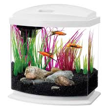 Aqueon 2 5 Gallon Minibow Led Desktop Fish Aquarium Kit White Petco In 2020 Aquarium Aquarium Kit Aquarium Set