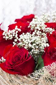 Amazon's choice per fiori finti bianchi. Immagini Stock Un Mazzo Di Belle Rose Rosse Con Piccoli Fiori Bianchi Image 72468995