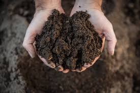 As the percentage of clay in a soil increases, it requires proportionately more limestone to raise the ph. Water Balance Found To Influence Soil Ph And Fertility Earth Com