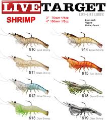 Livetarget Shrimp