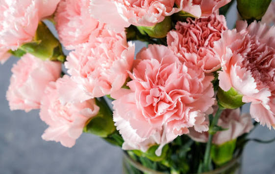Top 10 Mother's Day Flowers | Florist Sligo Guide