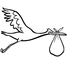 1 000 kostenlose storch und vogel bilder pixabay. Baby Storch Malvorlage Coloring And Malvorlagan