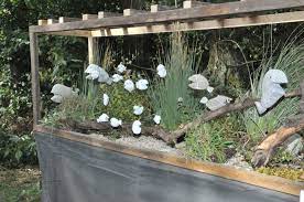 Enquires contact us via our website www.aquariumgardens.co.uk. Pin Auf Steinfisch Aquarium