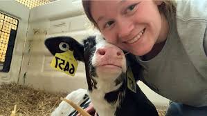 Memorial Drive Veterinary Clinic