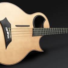 BASS GUITAR LESSONS WITH JERRY MARK