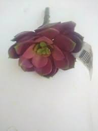 Blooming succulents purple succulents succulents garden planting flowers echeveria succulent tattoo miniature plants succulent arrangements succulent plants are becoming a more popular flower to place on wedding cakes. Dark Purple Echeveria Rosette Succulent Pick W Green Tips Artificial Ebay