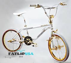 Image result for Champagne Gold 1987 Motorcycle