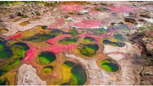 Maybe you would like to learn more about one of these? Cano Cristales Paraiso Natural De La Macarena