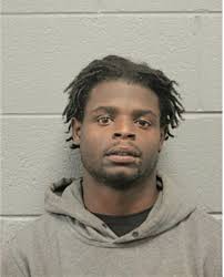 ᐅ Illinois Criminal Records 2009-2025