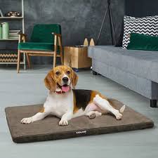 Check spelling or type a new query. Costo Pamper Your Pets And Save On Kirkland Signature Dog Food Pet Beds And More Milled