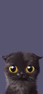 The Iphone X Wallpaper Thread Iphone Ipad Ipod Forums At Imore Com Hayvan Ilustrasyonlari Cilgin Disi Kedi Hayvan