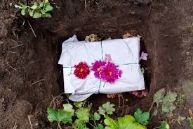 Ist mir doch egal solange ich eine angemessene gegenleistung kriege. Haustiere Begraben Im Eigenen Garten Was Ist Erlaubt Selbermachen De