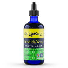 Image result for Buchnera candida