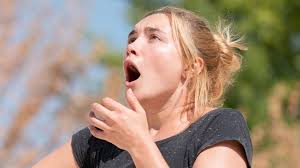 Midsommar is a horror movie about a swedish. Midsommar Anatomy Of A Scene The New York Times