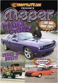 Image result for Plum Crazy 2013 Challenger