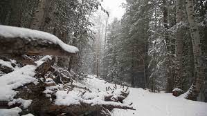 Weather In Phoenix Flagstaff Freezing Winds Snow In Northern Az Weather in flagstaff for today, tomorrow and week. weather in phoenix flagstaff freezing