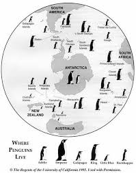 The Ozone Hole